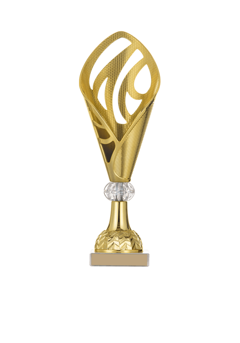 https://castlemagnergaa.com/wp-content/uploads/2022/11/trophy_03-1.png