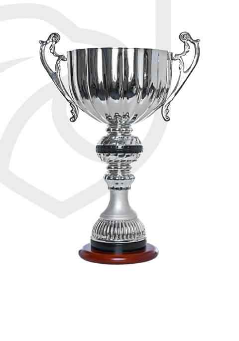https://castlemagnergaa.com/wp-content/uploads/2022/11/trophy_overlay_01-1.jpg