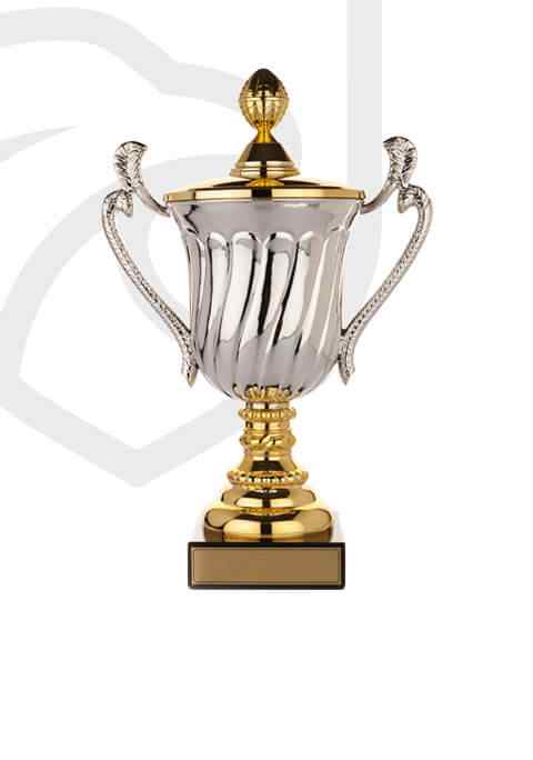 https://castlemagnergaa.com/wp-content/uploads/2022/11/trophy_overlay_02-1.jpg