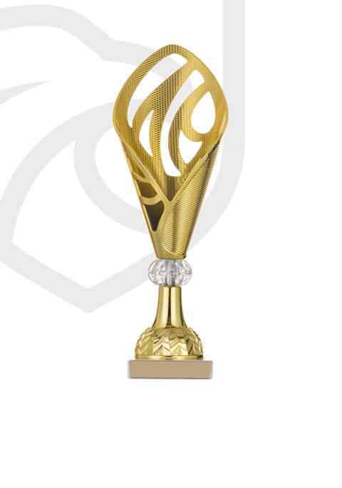 https://castlemagnergaa.com/wp-content/uploads/2022/11/trophy_overlay_03-1.jpg