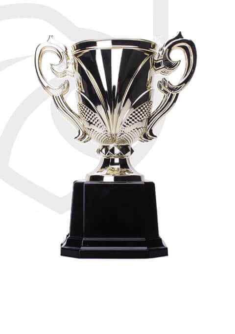 https://castlemagnergaa.com/wp-content/uploads/2022/11/trophy_overlay_04-1.jpg