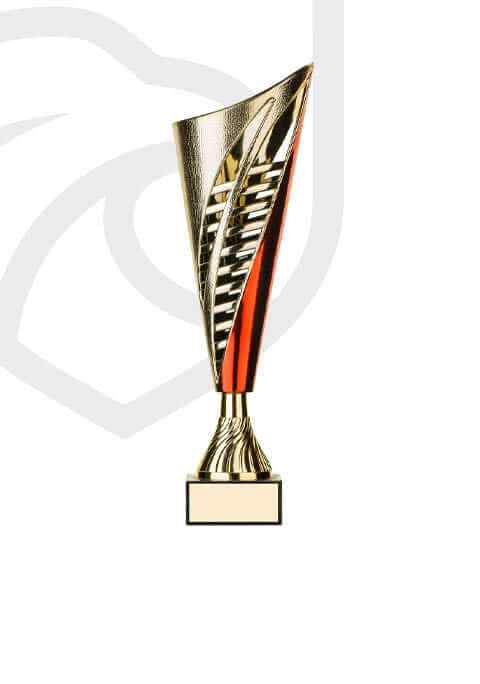 https://castlemagnergaa.com/wp-content/uploads/2022/11/trophy_overlay_05-1.jpg